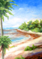 Palm COve